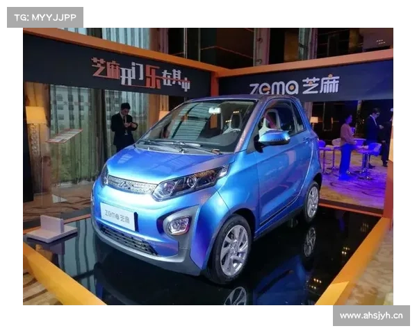 众泰大迈芝麻定位微型纯电动车 售价5.88万元